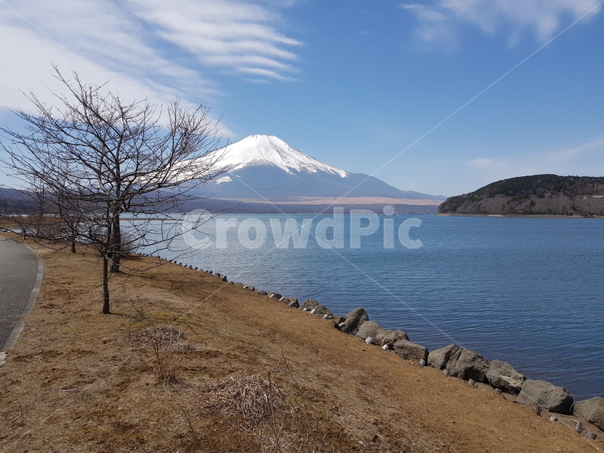 후지산,후지산야마나카호,눈덮힌후지산,후지산호수,겨울후지산,맑은후지산,일본,일본산,후지산구름,후지산눈,호수,눈,물,산,나무,맑은하늘,구름,물가,파란하늘,겨울산