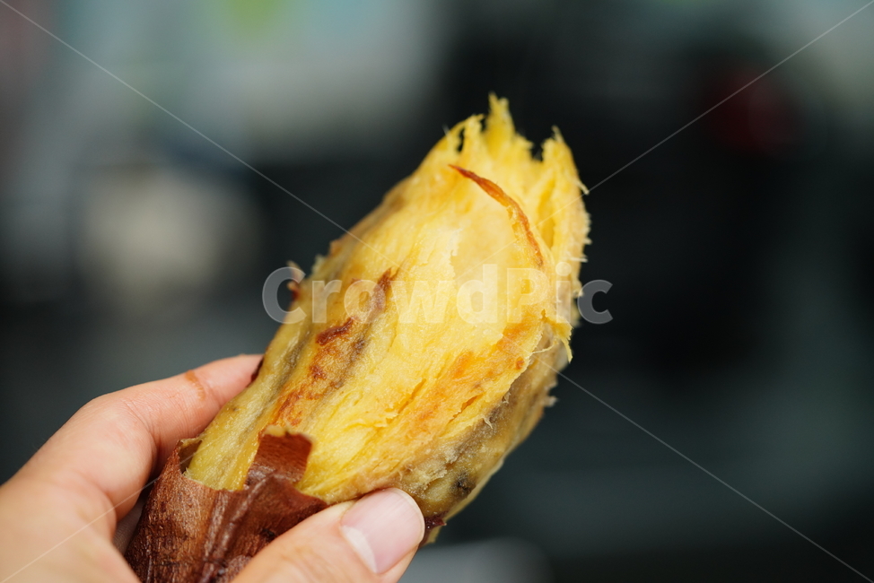 고구마,식물,먹거리,작물,음식,간식,겨울,food,주전부리,겨울,계절,winter,season,음식,식재료,요리,food,cook,meal,dishes,food reserves
