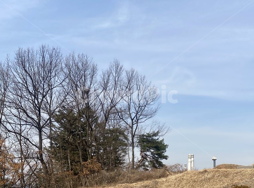 늦겨울,묘비,봄맞이,기다림,겨울끝