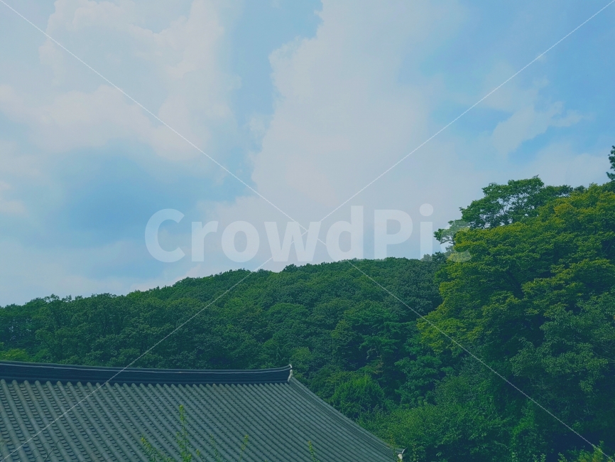 평화,절,사찰,오후,하늘,지붕,보광사,일상,색감,peace,Temple,Afternoon,Sky,Roof,daily,color,View,한국전통,한국문화,korean traditional,korean culture,건축물,건물외관,exterior,building,structure,architecture,construction