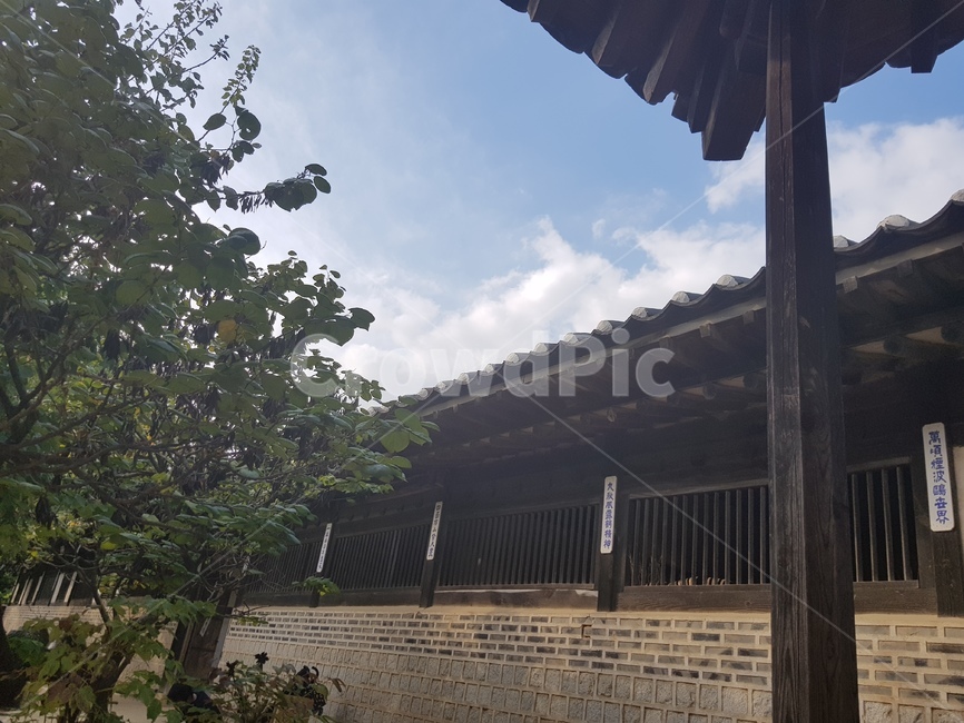 용인민속촌,한국,한국적인,옛날,오래된,기와,문화재,문화,고풍스러운