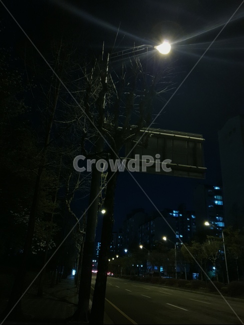 밤,야경,가로등,빛,길,야경,밤,풍경,nightscape,night,landscape,nature,자연,outdoors,옥외