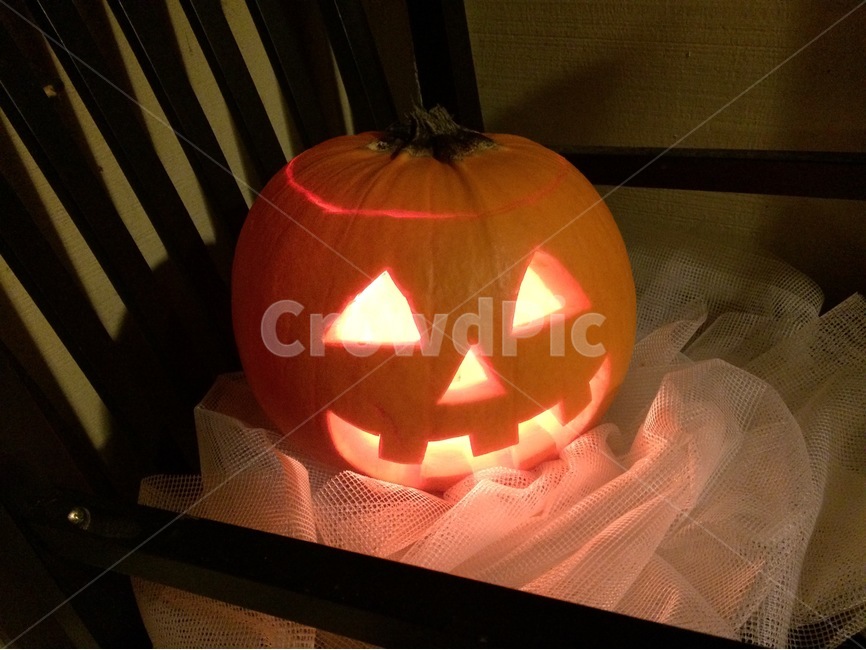 할로윈,핼러윈,할러윈,잭오랜턴,jack,lantern,halloween,공포,호러,무서운,무서움,horror,terror,fear,기념일,축하,anniversary,congratulation,celebrate,celebration
