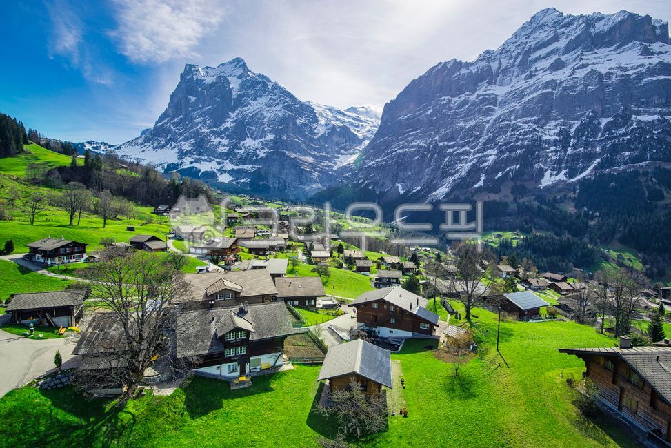 ice cap,forest,green,cliff,nature,ice wall,tree,Switzerland,building,rock wall,spring,Alps,mountain,grass field,outdoors,snow,grass,plant,Grindelwald,village