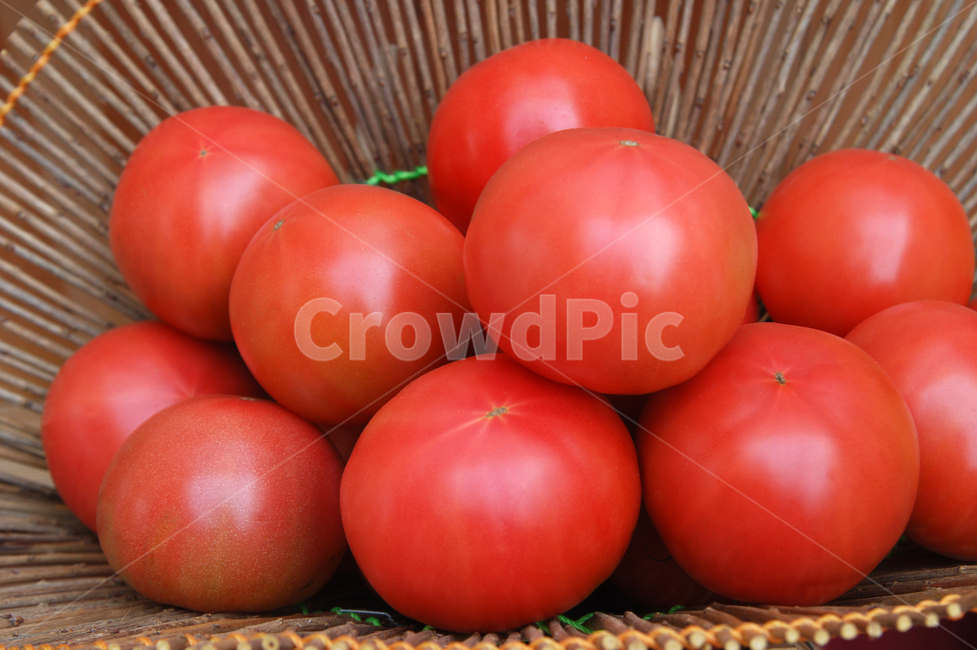토마토,과일,야채,빨간,붉은,레드,농산물,농작물,비타민,웰빙,간식,건강,유기농,신선한,싱싱한,디저트,클로즈업,음식,식재료,요리,food,cook,meal,dishes,food reserves,채소,야채,vegetables