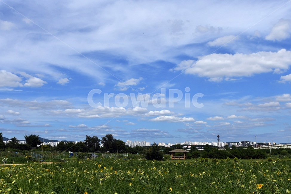 하늘,구름,청명,가을하늘,푸른하늘,파란하늘,도시,풍경,city,landscape,nature,자연,outdoors,옥외,grassland,목초지,field,들