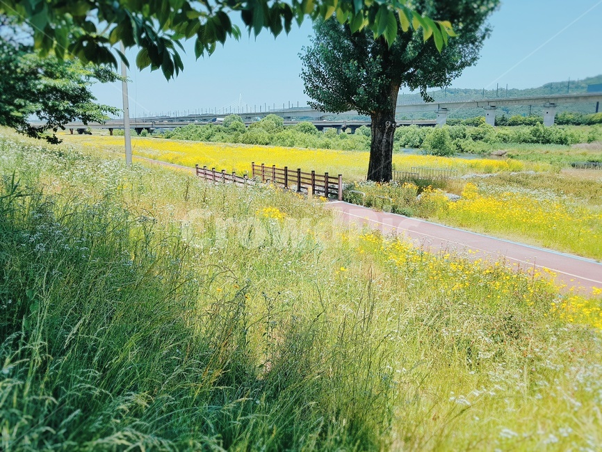 trail,spring,nature,자연,들,field,countryside