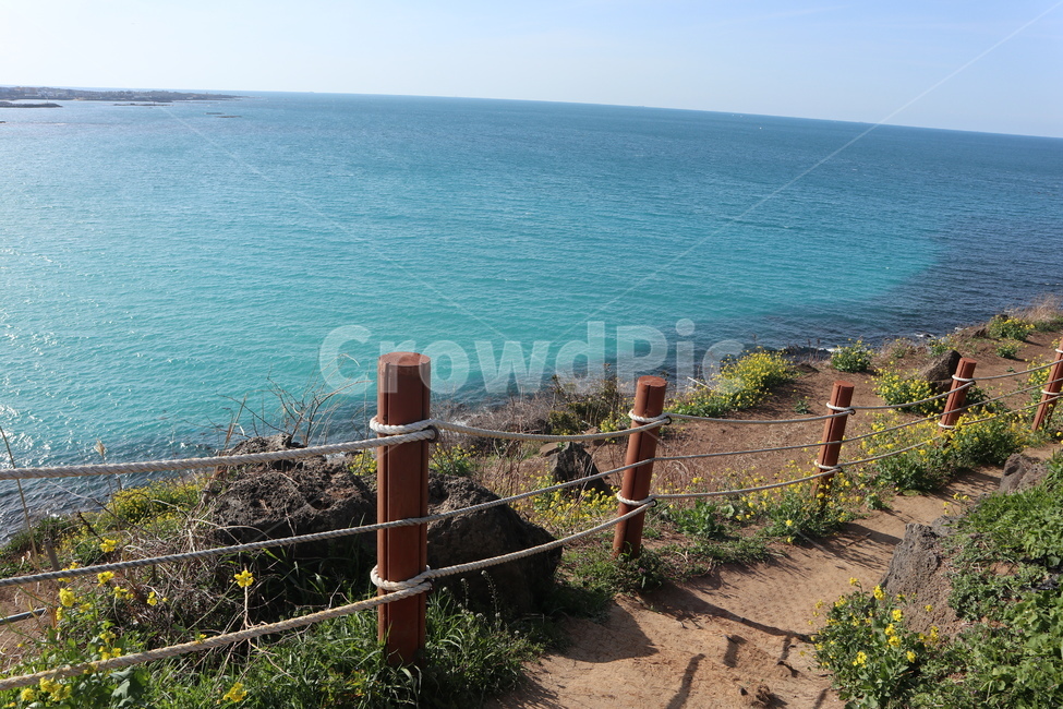 제주도해변길,함덕해변올레길,제주도올레길,제주도봄,제주도유채꽃,해변올레길,자연,풍경,nature,landscape,제주도,jeju,jeju island