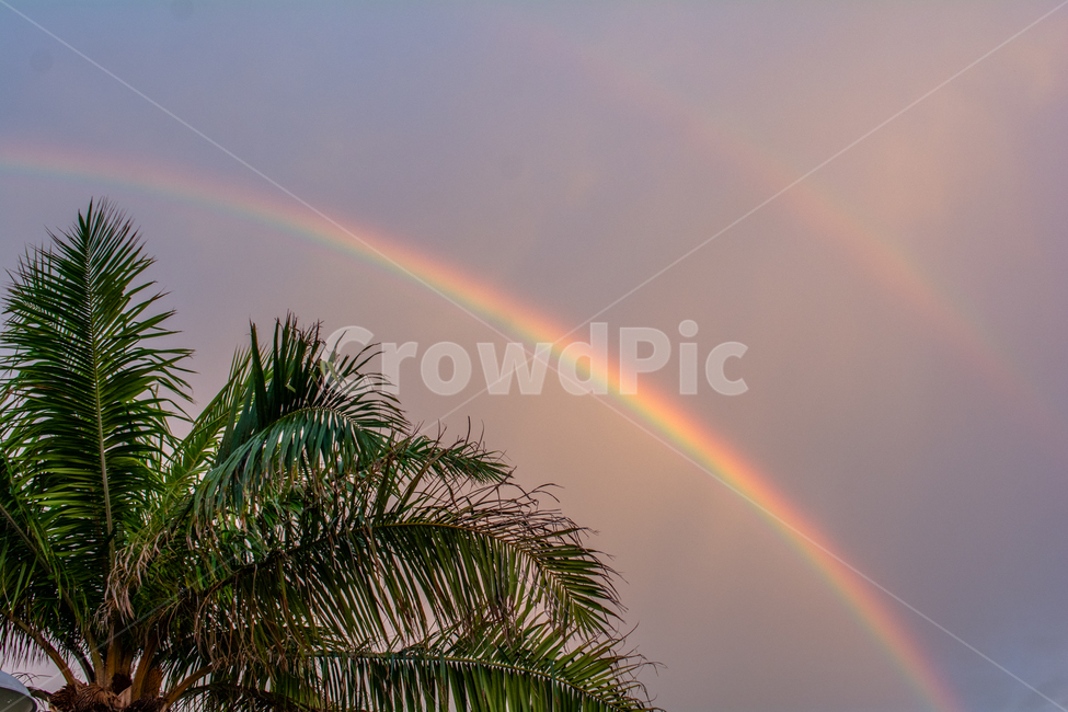 무지개,자연,rainbow,코타키나발루,동남아