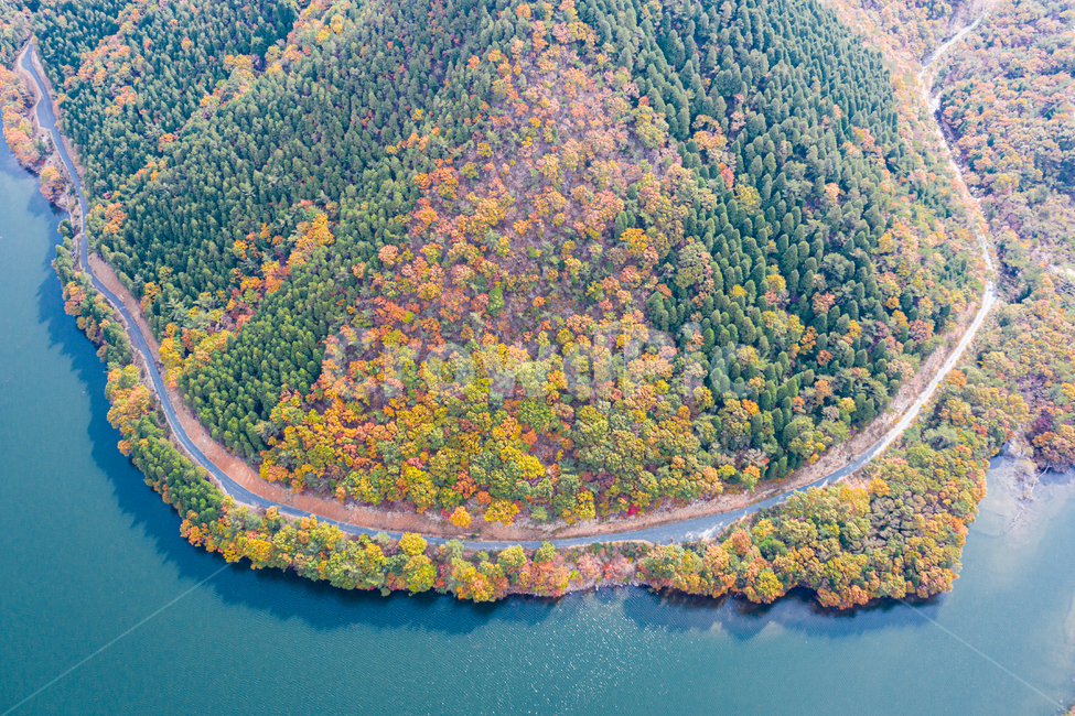 outdoors,nature,aerialview,조감도,자연,옥외,landscape,scenery,풍경,경치,드론,드론샷,드론촬영,drone,단풍,가을,저수지