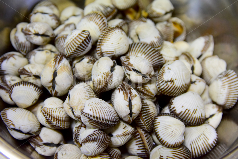 꼬막,조개,바다조개,해산물,음식,조개껍질,조개피,shellfish,수산물,해산물,fishery products,seafood