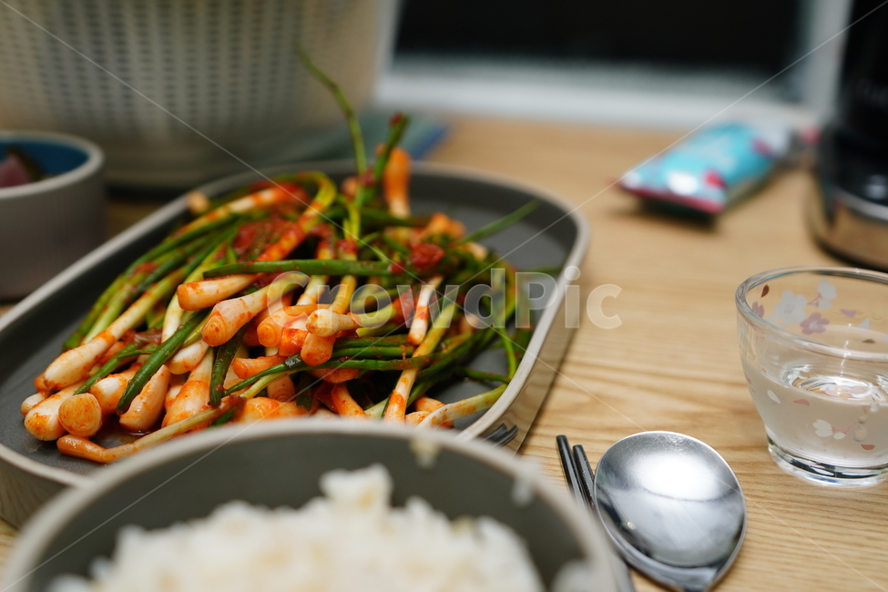 파김치,파,김치,음식,채소,한식,반찬,먹거리,푸드,집밥,식사