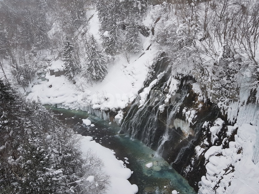 눈,삿포로,비에이투어,크리스마스트리,훗카이도,겨울,겨울,계절,winter,season,자연,풍경,nature,landscape,해외,외국,세계,foreign,oversea,world,세계자연풍경,해외자연풍경,외국자연풍경,world nature landscape,outdoors,옥외,ice,빙,tree,나무,plant,식물,abies,아비,fir,전나무,mountain,산,snow