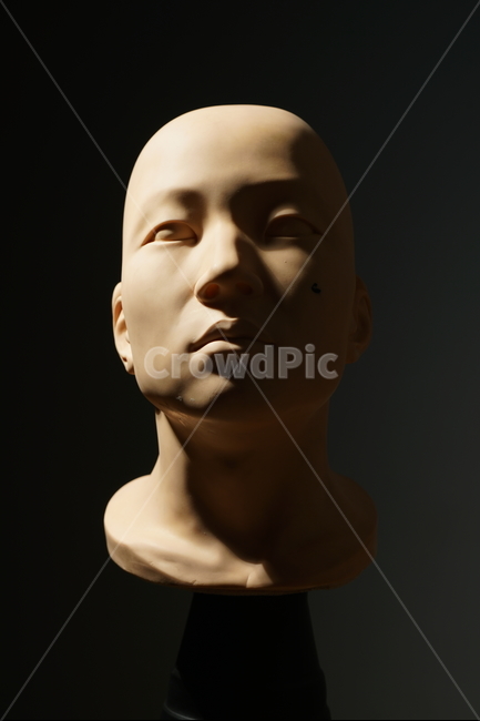 조명,교보재,실습,좌측광,두상,남자,대머리,그림자,우울한,어두운,스튜디오,조명공부,학습자료,lighting,leftsidelighting,shadow,gloomy,dark,bald,head,face,studio,lightingstudy,lightingexample,teachingaids,조각상,동상,석상,조형물,statue,bronze statue,stone statue,예술,art