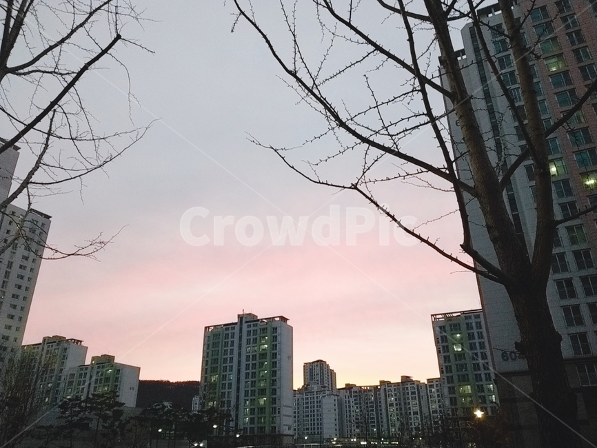 풍경,아파트,나무,노을,저녁