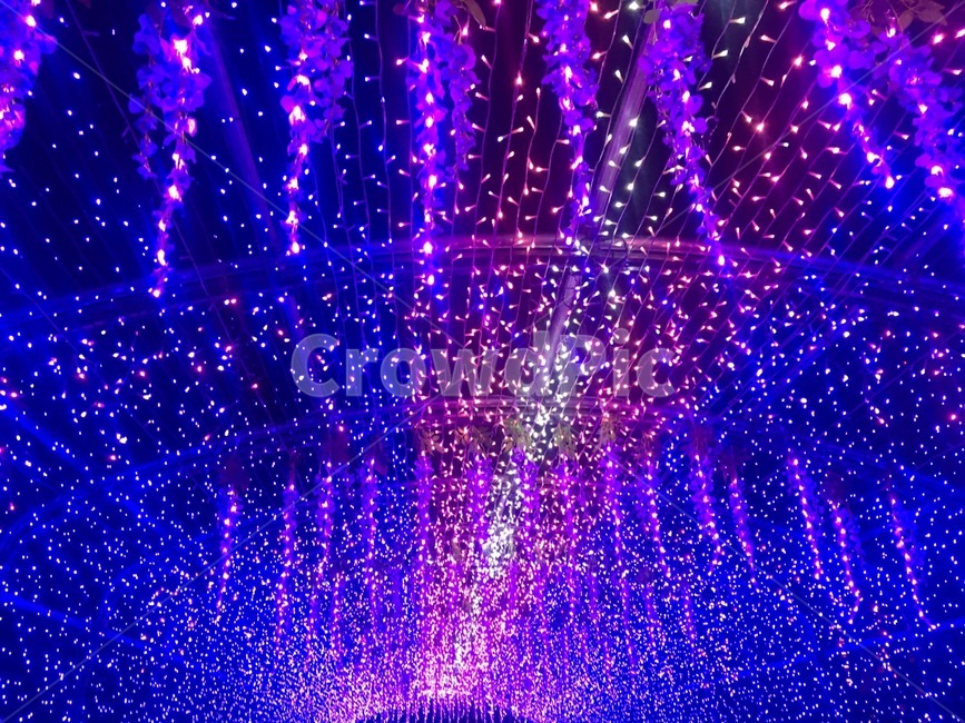 거리,led,조명,야경,반짝반짝