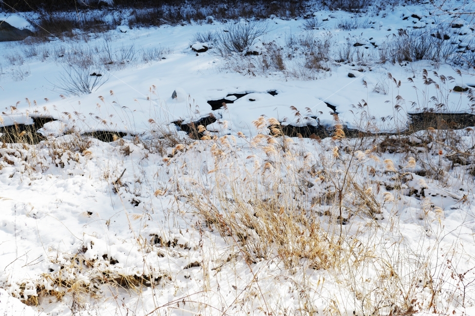 겨울,눈,냇가,첫눈,겨울냇가,눈꽃,겨울,계절,winter,season,자연,풍경,nature,landscape