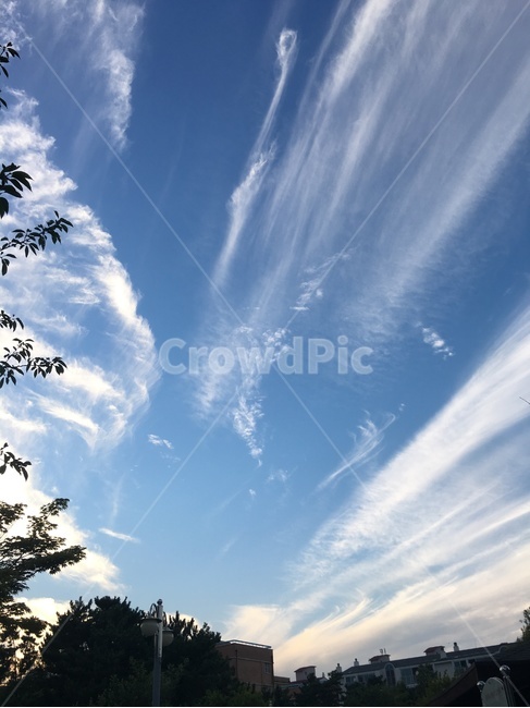 하늘,구름,파랑,맑음,풍경,자연,풍경,nature,landscape,outdoors,옥외