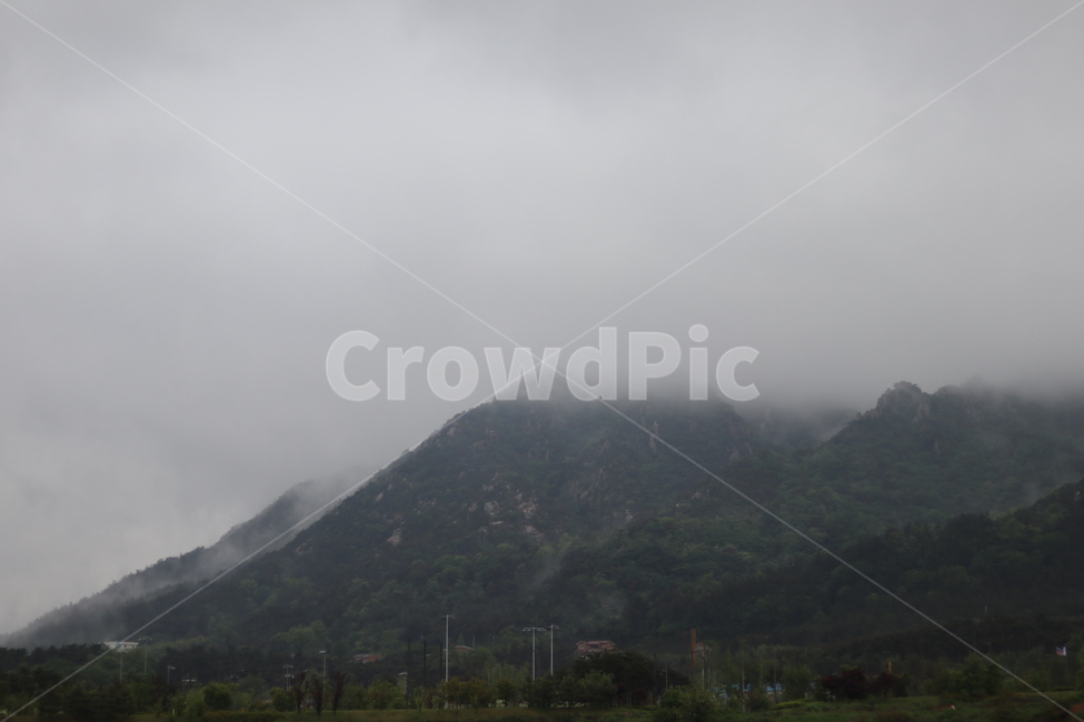 용봉산,구름,비,나무,봄,흐림,자연,풍경,nature,landscape,한국자연풍경,한국자연경관,korea nature landscape,outdoors,옥외,weather,날씨
