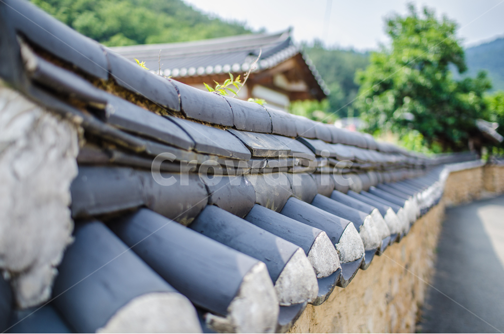 sky,Hanok,tile roof,tree,cottage,stonewall,tiled house,close,traditional style