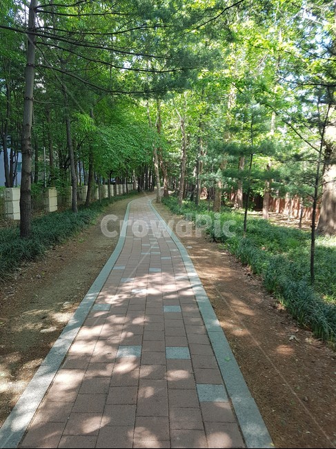 brick,자연,초록,green,나무,보도블럭,공원,힐링,한적한,조용한,nature