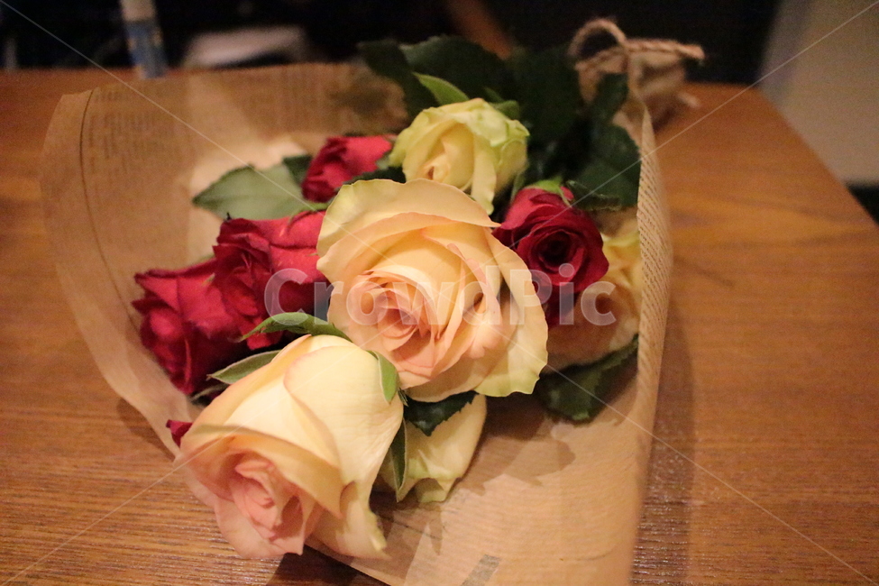 plant,식물,flowerarrangement,blossom,flowerbouquet,꽃,flower,꽃다발,꽃,flower,기념일,축하,anniversary,congratulation,celebrate,celebration
