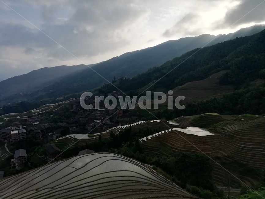 음영,다락논,계림,다락논저녁,다락논새벽,자연,풍경,nature,landscape,농업,농사,agriculture,farming,farming industry,outdoors,옥외,scenery