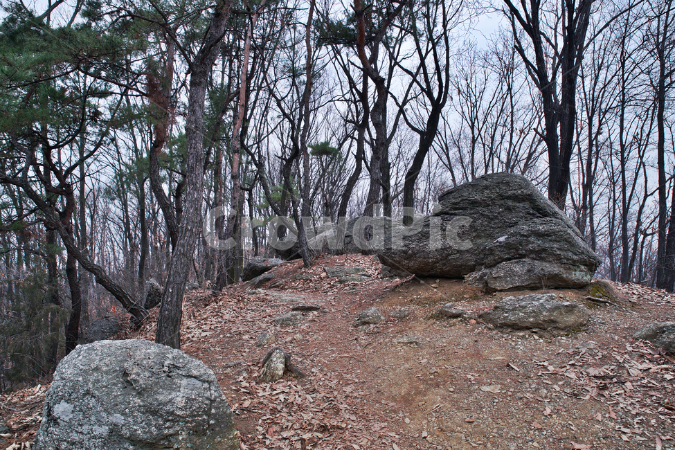 모락산,산,의왕시,자연,바위,나무,낙엽,계절,자연,풍경,nature,landscape