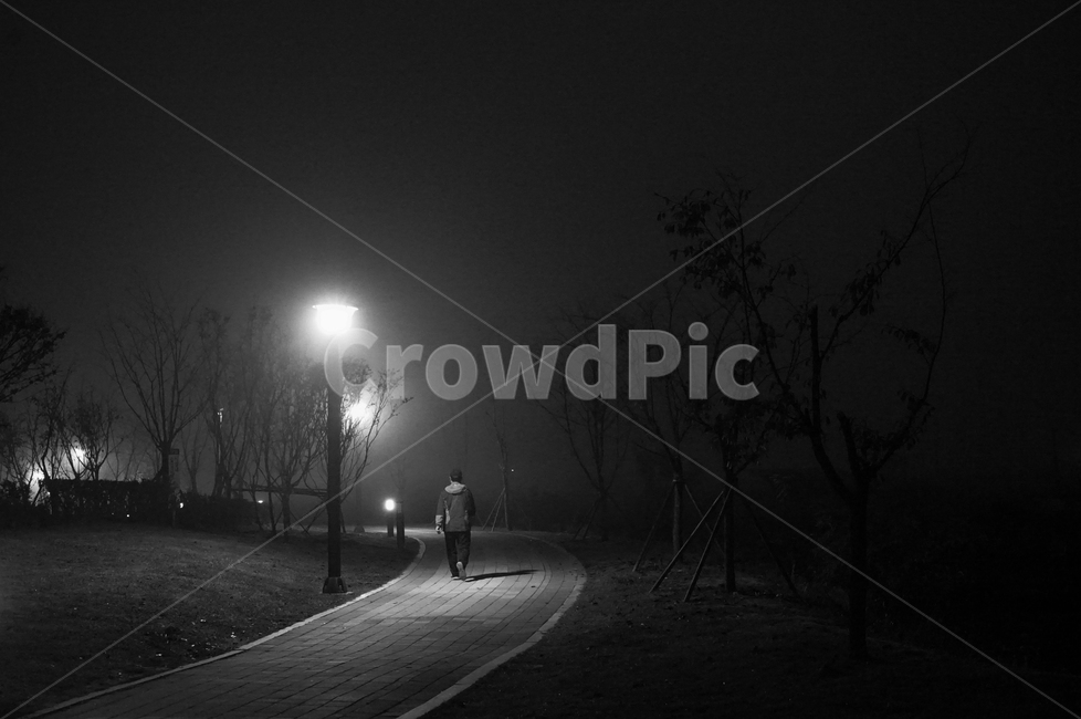 새벽,안개,산책로,사람,남자,가로등,길,모노톤,흑백,사람,인물,인간,human,person,고독함,외로움,쓸쓸함,우울함,슬픔,lonely,solitary,흑백,모노톤,monochrome,black and white