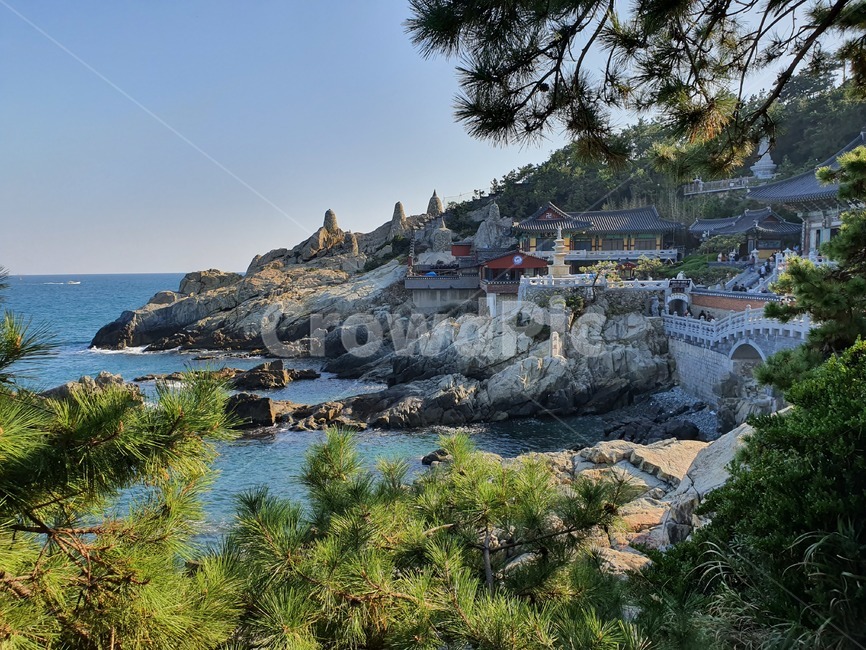 용궁사,절,해안,바다,해동용궁사,부산,부산명소,nature,outdoors,자연