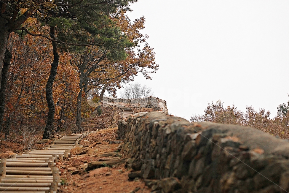 전등사,성,성곽,산성,둘레길,길,숲,숲길,담,돌담,가을,자연,풍경,벽,방어벽,낙엽,단풍,식물,자연,plants,nature,나무,trees,wood