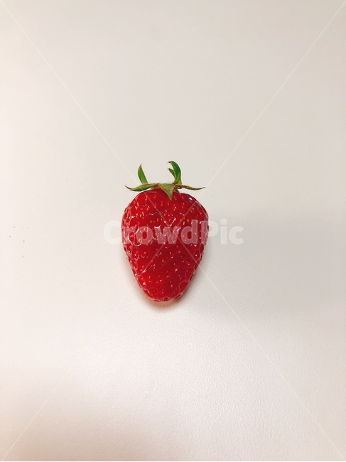 strawberry,딸기,food,음식,fruit,과일,plant,식물,과일류,과실류,간식,식재료,식품