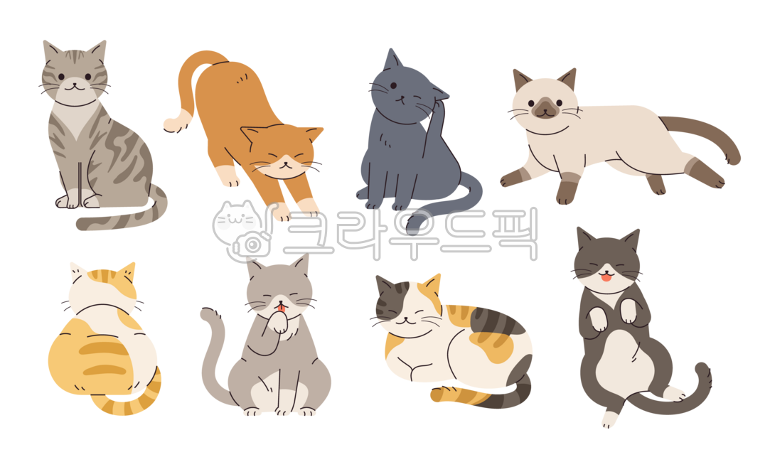 고양이,반려동물,귀여운,동물,일러스트,세트,컬렉션,여러가지,펫,애완동물,pet,cat,animal,포즈,자세,앉아있는,누워있는,무늬,기지개,여러마리,그루밍,간지러운,스트레칭,휴식,플랫일러스트,심플,단순한,png,삼색,샴고양이