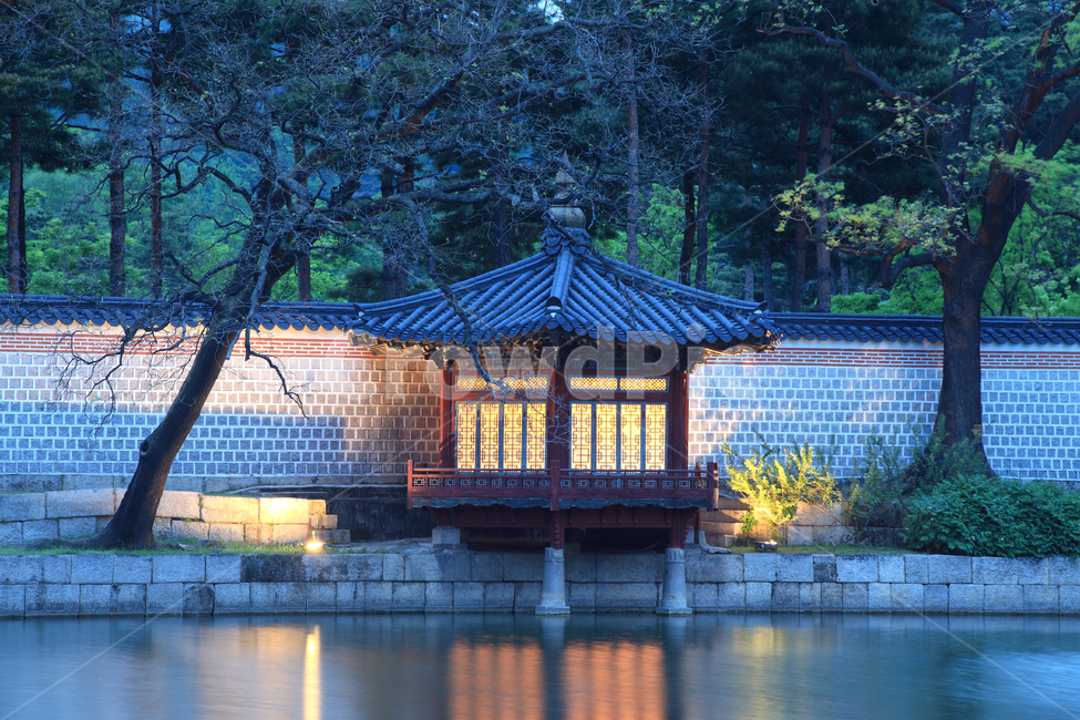 경복궁,정자,궁,고궁,궁궐,밤,저녁,야경,불빛,연못,호수,자연,나무,숲,야외,풍경,건축,전통,전통건축,전통건축물,하향정,경회지,명소,문화재,담,담장,서울,한국,한국전통,한국문화,korean traditional,korean culture,건축물,건물외관,exterior,building,structure,architecture,construction