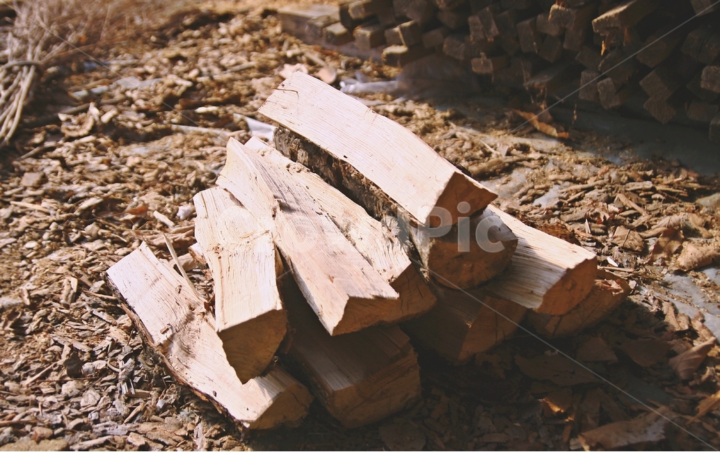 나무,장작,감성,자연,겨울,wood,겨울,계절,winter,season,나무,trees,wood,감성,sensible,feeling