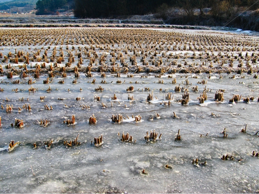 겨울,논,감성,겨울논,얼음,겨울,계절,winter,season,자연,풍경,nature,landscape,시골,마을,country,rural,town,산업,industry,industrial,농업,농사,agriculture,farming,farming industry