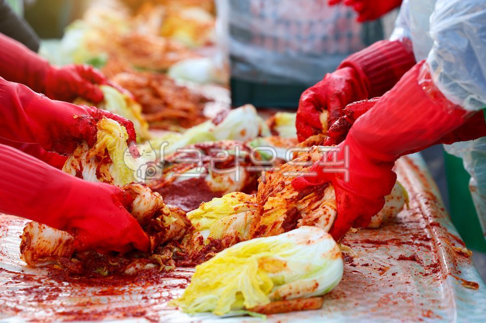 김치,김장,김장준비,김치공장,고추가루,공장,절임배추,배추김치,전통음식,겨울음식,야채,채식,발효,신선한,빨간,단체,봉사활동,행사,배추,고추장,양념,반찬,손,한식,한국음식,한국