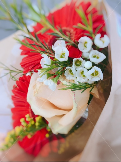 plant,blossom,꽃부케,꽃,꽃다발,flower,졸업식선물
