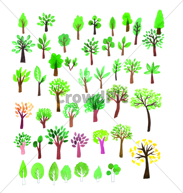 손그림,handdrawing,물감그림,watercolor,나무,tree,wood,소나무,pine,은행나무,ginkgo,maidenhairtree,art,plant,식물,plants,plantlife