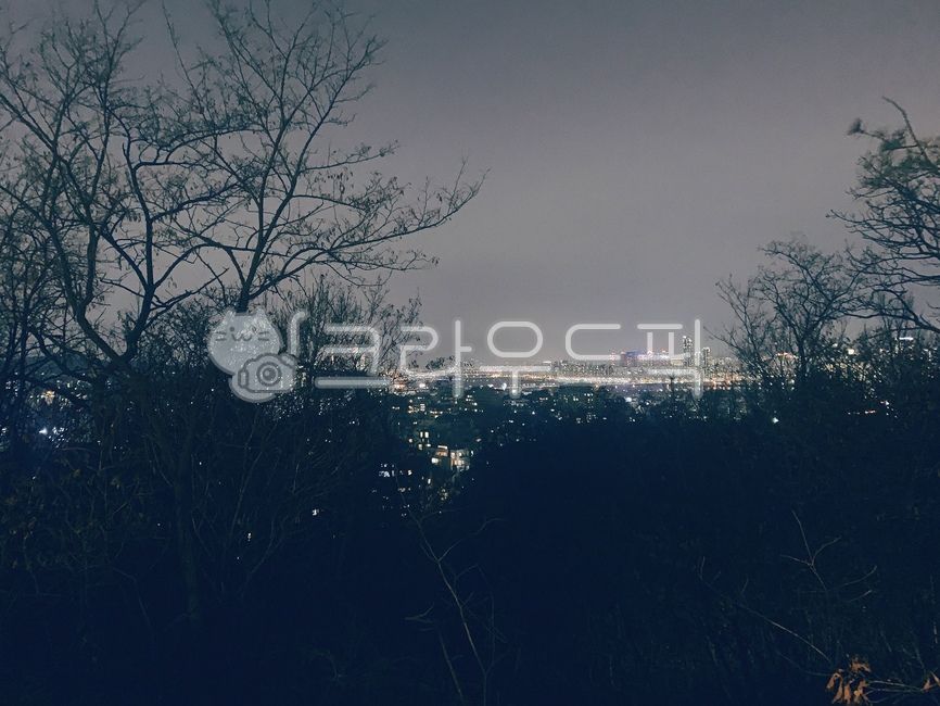 night view,outdoors,nature,Seoripul Park,Yeouido night view,Han River night view,Han River