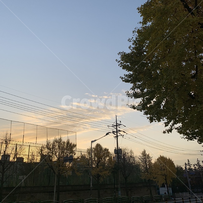 초저녁,evening,clouds,전봇대,telephonepole