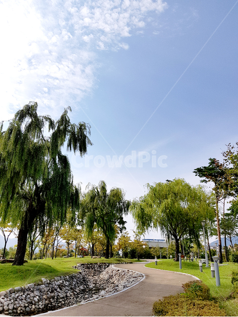자연,푸른하늘,sky,outdoors,하늘,옥외,가을하늘,tree,나무,plant,식물,자연,풍경,nature,landscape,grass,잔디