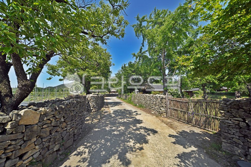 외암민속마을,외암마을,아산시,집성촌,예안이씨,돌담길