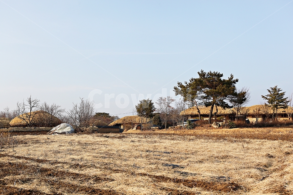하회마을,초가집,초가,전통집,집,민속집,자연,풍경,겨울,건물,시골,마을,풍경,landscape,country,rural,town,한국전통,한국문화,korean traditional,korean culture