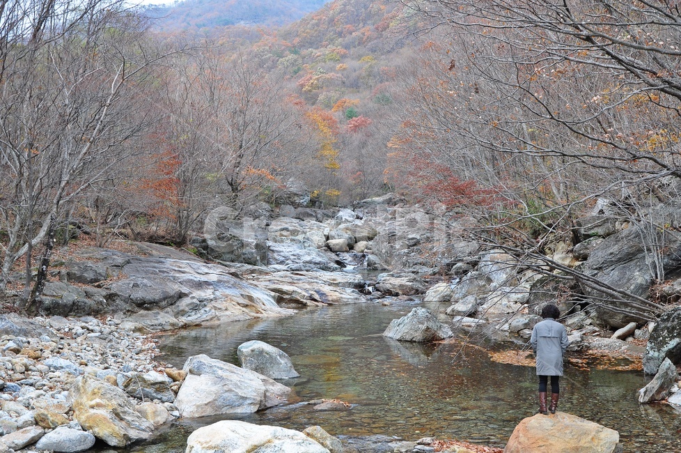 구례,피아골,피아골계곡,단풍,폭포,leaf,잎,plant,식물,tree,나무,maple,water,물,scenery,풍경,outdoors,옥외,nature,자연,landscape,경치,가을,계절,fall,autumn,season,자연,풍경,nature,landscape