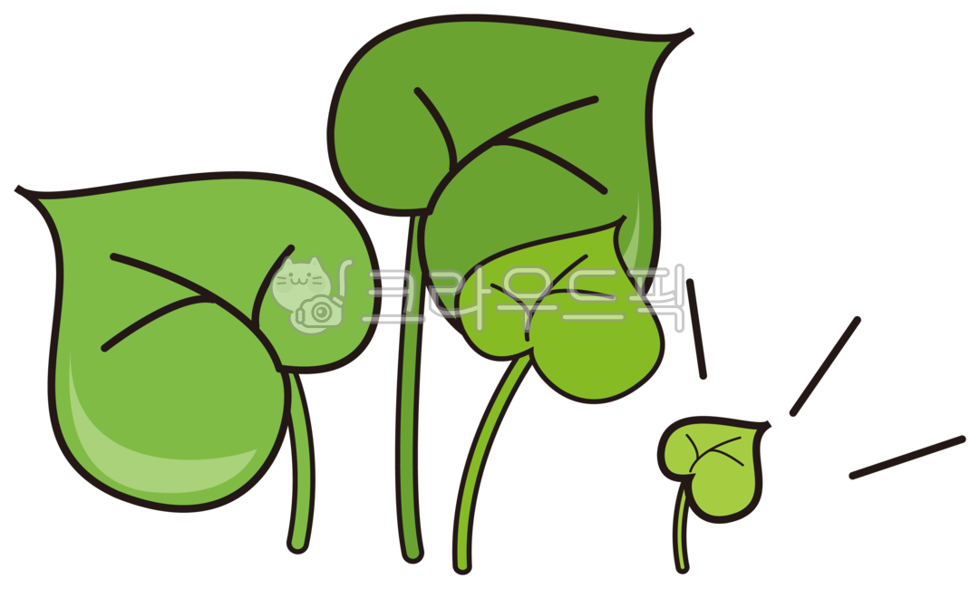 green, 녹색, leaf, 식물, 작다, 사진,이미지,일러스트,캘리그라피 - 예소나봄작가