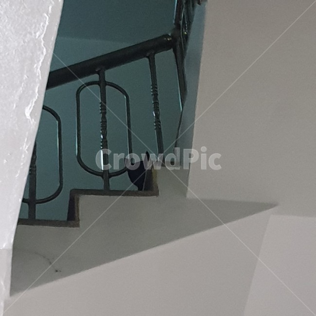 난간,고양이,째려봄,계단,어두운,handrail,banister,검정,cat,길고양이