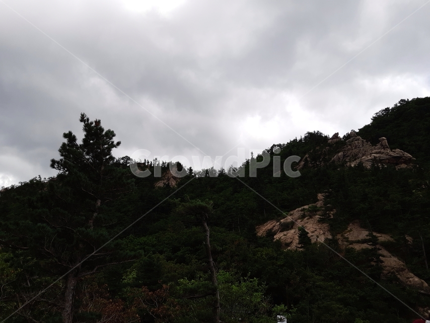 설악산,산,풍경,자연,경치