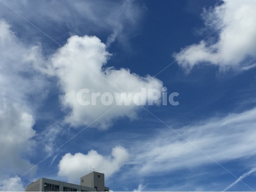 하트,구름,하늘,아파트,사랑,상쾌,자연,풍경,nature,landscape,outdoors,옥외,weather,날씨,cumulus,적운,cloud,sky