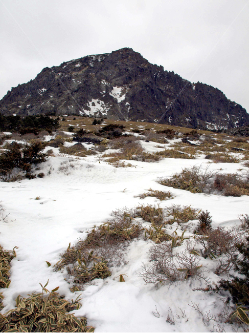 어리목,한라산,제주도,겨울,겨울산,설화,설목,설경,눈,등산,백록담,겨울,계절,winter,season,자연,풍경,nature,landscape,outdoors,옥외,plateau,고원,mountain range,산맥,mountain,산